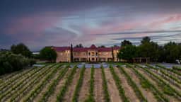 Sleeps 20 | Vineyard Estate w/ Resort Pool, Spa & Game Room | Wilson Creek Manor by AvantStay