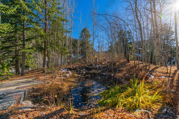 Luxury Mountain Estate w/ Indoor Pool, Gym & Hot Tub Near Keystone | Sleeps 19